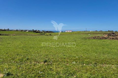 Farm hus i Sines, Setubal, Sines - € 1.500.000 | Ref: 059271 - foto 5