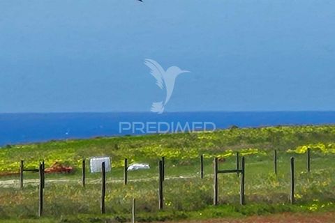 Farm hus i Sines, Setubal, Sines - € 1.500.000 | Ref: 059271 - foto 4