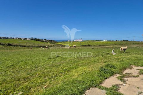Farm hus i Sines, Setubal, Sines - € 1.500.000 | Ref: 059271 - foto 3