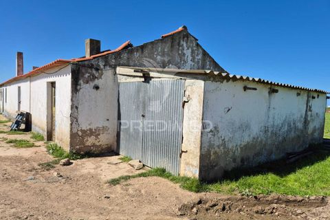 Farm hus i Sines, Setubal, Sines - € 1.500.000 | Ref: 059271 - foto 8