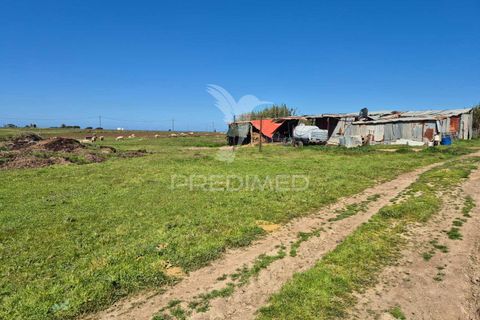 Farm hus i Sines, Setubal, Sines - € 1.500.000 | Ref: 059271 - foto 9