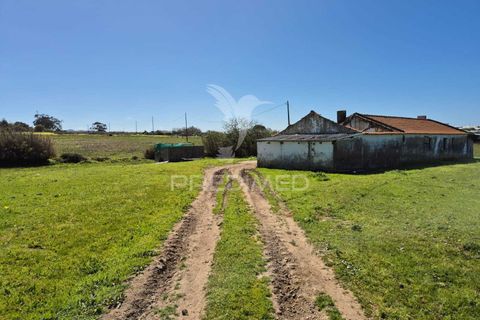 Farm hus i Sines, Setubal, Sines - € 1.500.000 | Ref: 059271 - foto 10