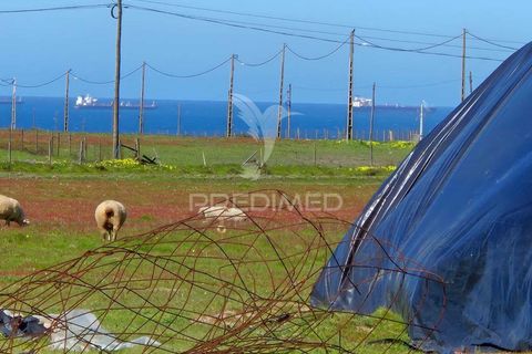 Farm hus i Sines, Setubal, Sines - € 1.500.000 | Ref: 059271 - foto 11