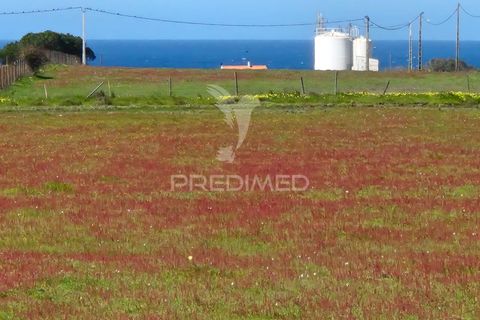 Farm hus i Sines, Setubal, Sines - € 1.500.000 | Ref: 059271 - foto 12