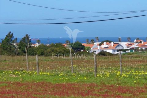 Farm hus i Sines, Setubal, Sines - € 1.500.000 | Ref: 059271 - foto 13