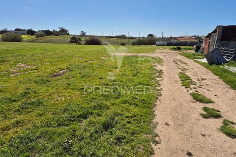 Farm hus i Sines, Setubal, Sines - € 1.500.000 | Ref: 059271 - foto 14