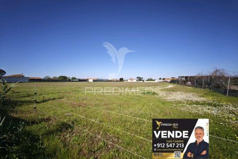 Helårsgrund i Benavente, Santarem, Benavente - € 675.000 | Ref: 059400 - foto 1