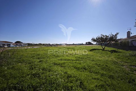 Helårsgrund i Benavente, Santarem, Benavente - € 675.000 | Ref: 059400 - foto 2