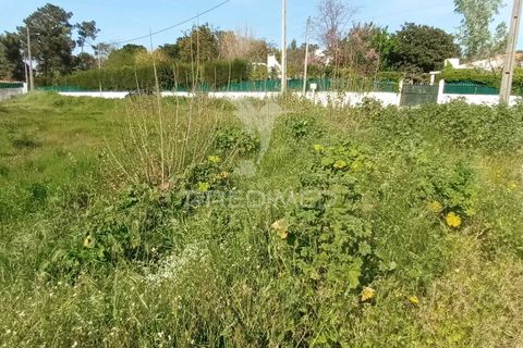 Helårsgrund i Setubal, Setubal, Setubal - € 180.000 | Ref: 059415 - foto 11