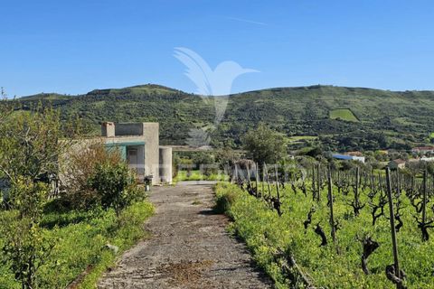 Helårsgrund i Loures, Lisbon, Loures - € 89.000 | Ref: 059524 - foto 1