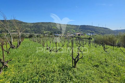 Helårsgrund i Loures, Lisbon, Loures - € 89.000 | Ref: 059524 - foto 2
