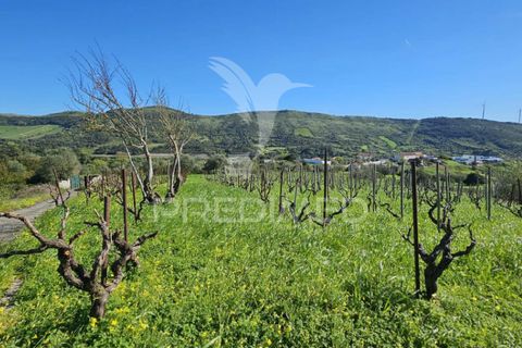 Helårsgrund i Loures, Lisbon, Loures - € 89.000 | Ref: 059524 - foto 3