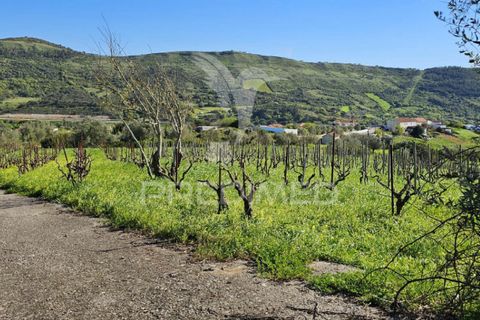 Helårsgrund i Loures, Lisbon, Loures - € 89.000 | Ref: 059524 - foto 4