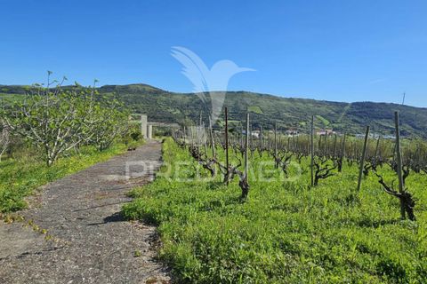 Helårsgrund i Loures, Lisbon, Loures - € 89.000 | Ref: 059524 - foto 13