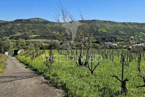 Helårsgrund i Loures, Lisbon, Loures - € 89.000 | Ref: 059524 - foto 15