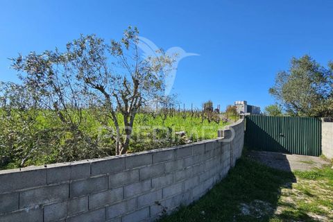 Helårsgrund i Loures, Lisbon, Loures - € 89.000 | Ref: 059524 - foto 18