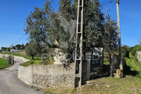 Helårsgrund i Loures, Lisbon, Loures - € 89.000 | Ref: 059524 - foto 20