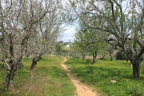 Farm hus i Albufeira, Faro, Albufeira - € 898.000 | Ref: 027017 - foto 2