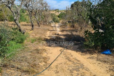 Farm hus i Albufeira, Faro, Albufeira - € 898.000 | Ref: 027017 - foto 5