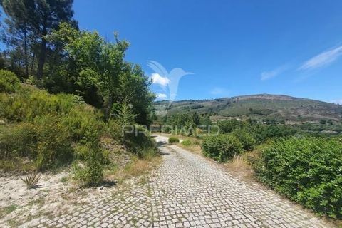 Byhus i Montalegre, Vila Real, Montalegre - € 300.000 | Ref: 031396 - foto 6