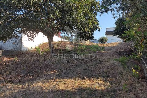 Helårsgrund i Ourem, Santarem, Ourem - € 22.500 | Ref: 031600 - foto 4