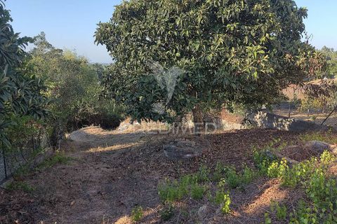Helårsgrund i Ourem, Santarem, Ourem - € 22.500 | Ref: 031600 - foto 5