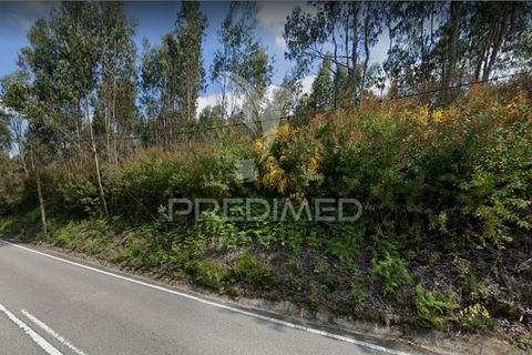Helårsgrund i Paredes, Porto, Paredes - € 97.500 | Ref: 031996 - foto 1