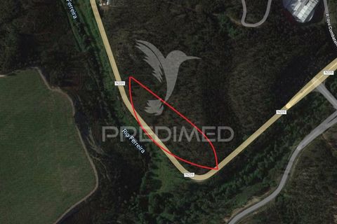 Helårsgrund i Paredes, Porto, Paredes - € 97.500 | Ref: 031996 - foto 2