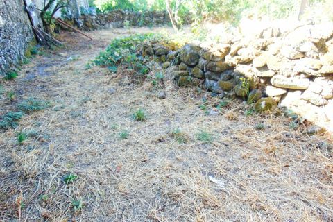 Landejendom i Vila Real, Vila Real, Vila Real - € 35.000 | Ref: 032087 - foto 17