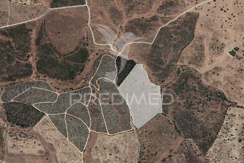 Helårsgrund i Nisa, Portalegre, Nisa - € 32.500 | Ref: 032426 - foto 1