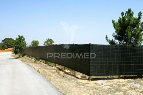 Helårsgrund i Lagoa, Faro, Lagoa - € 350.000 | Ref: 032727 - foto 2