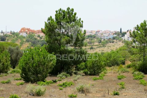 Helårsgrund i Lagoa, Faro, Lagoa - € 350.000 | Ref: 032727 - foto 7