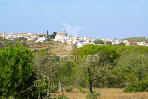 Helårsgrund i Lagoa, Faro, Lagoa - € 350.000 | Ref: 032727 - foto 8