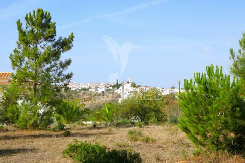 Helårsgrund i Lagoa, Faro, Lagoa - € 350.000 | Ref: 032727 - foto 9