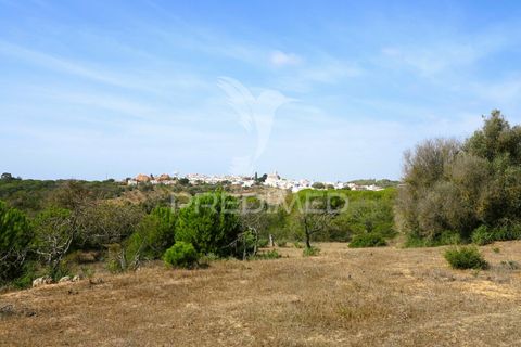 Helårsgrund i Lagoa, Faro, Lagoa - € 350.000 | Ref: 032727 - foto 11