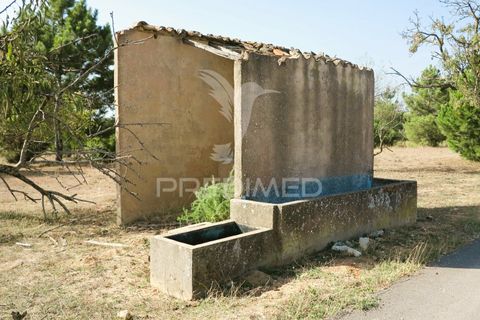 Helårsgrund i Lagoa, Faro, Lagoa - € 350.000 | Ref: 032727 - foto 12