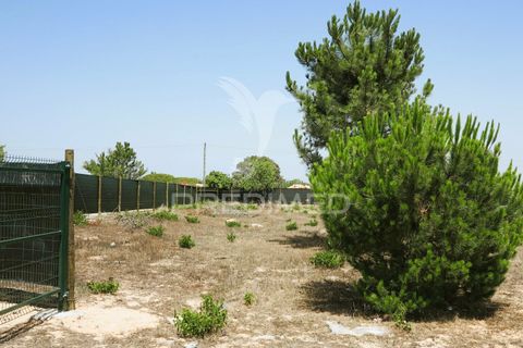Helårsgrund i Lagoa, Faro, Lagoa - € 350.000 | Ref: 032727 - foto 17