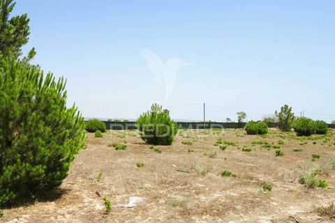 Helårsgrund i Lagoa, Faro, Lagoa - € 350.000 | Ref: 032727 - foto 19
