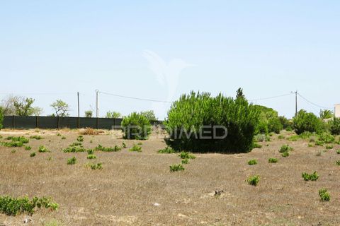 Helårsgrund i Lagoa, Faro, Lagoa - € 350.000 | Ref: 032727 - foto 20
