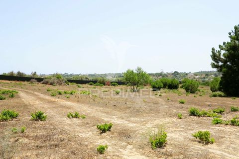 Helårsgrund i Lagoa, Faro, Lagoa - € 350.000 | Ref: 032727 - foto 22