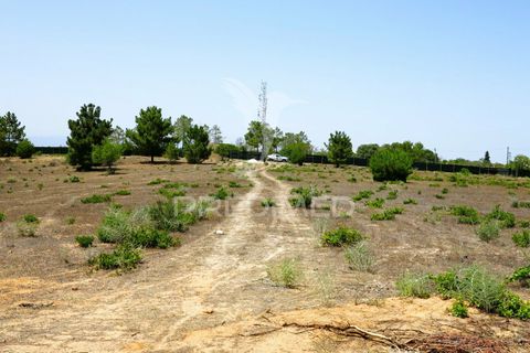 Helårsgrund i Lagoa, Faro, Lagoa - € 350.000 | Ref: 032727 - foto 23