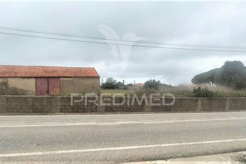 Helårsgrund i Sintra, Lisbon, Sintra - € 315.000 | Ref: 032896 - foto 6