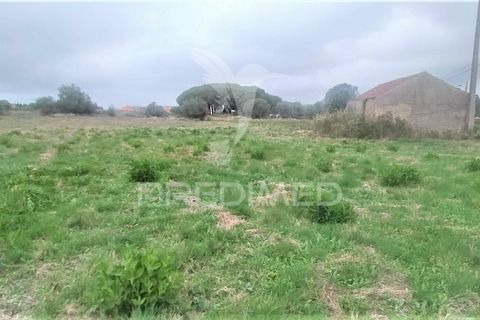 Helårsgrund i Sintra, Lisbon, Sintra - € 315.000 | Ref: 032896 - foto 16