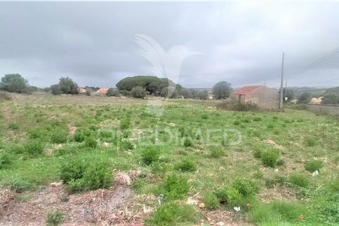 Helårsgrund i Sintra, Lisbon, Sintra - € 315.000 | Ref: 032896 - foto 18