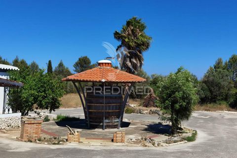Byhus i Alcanena, Santarem, Alcanena - € 590.000 | Ref: 032898 - foto 18