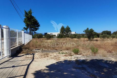 Byhus i Alcanena, Santarem, Alcanena - € 590.000 | Ref: 032898 - foto 36
