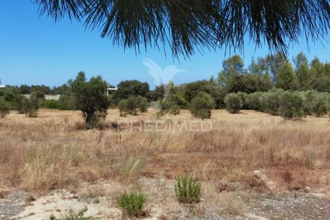 Byhus i Alcanena, Santarem, Alcanena - € 590.000 | Ref: 032898 - foto 38