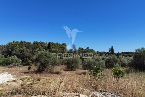 Byhus i Alcanena, Santarem, Alcanena - € 590.000 | Ref: 032898 - foto 39