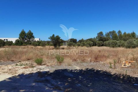 Byhus i Alcanena, Santarem, Alcanena - € 590.000 | Ref: 032898 - foto 40