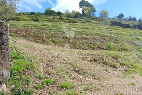 Helårsgrund i Vila Real, Vila Real, Vila Real - € 85.000 | Ref: 033291 - foto 5